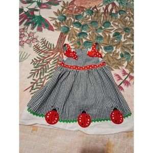 Vintage 90s Y2K Lady Bug Gingham Dress Toddler Girls Size 3T Rare,Too!